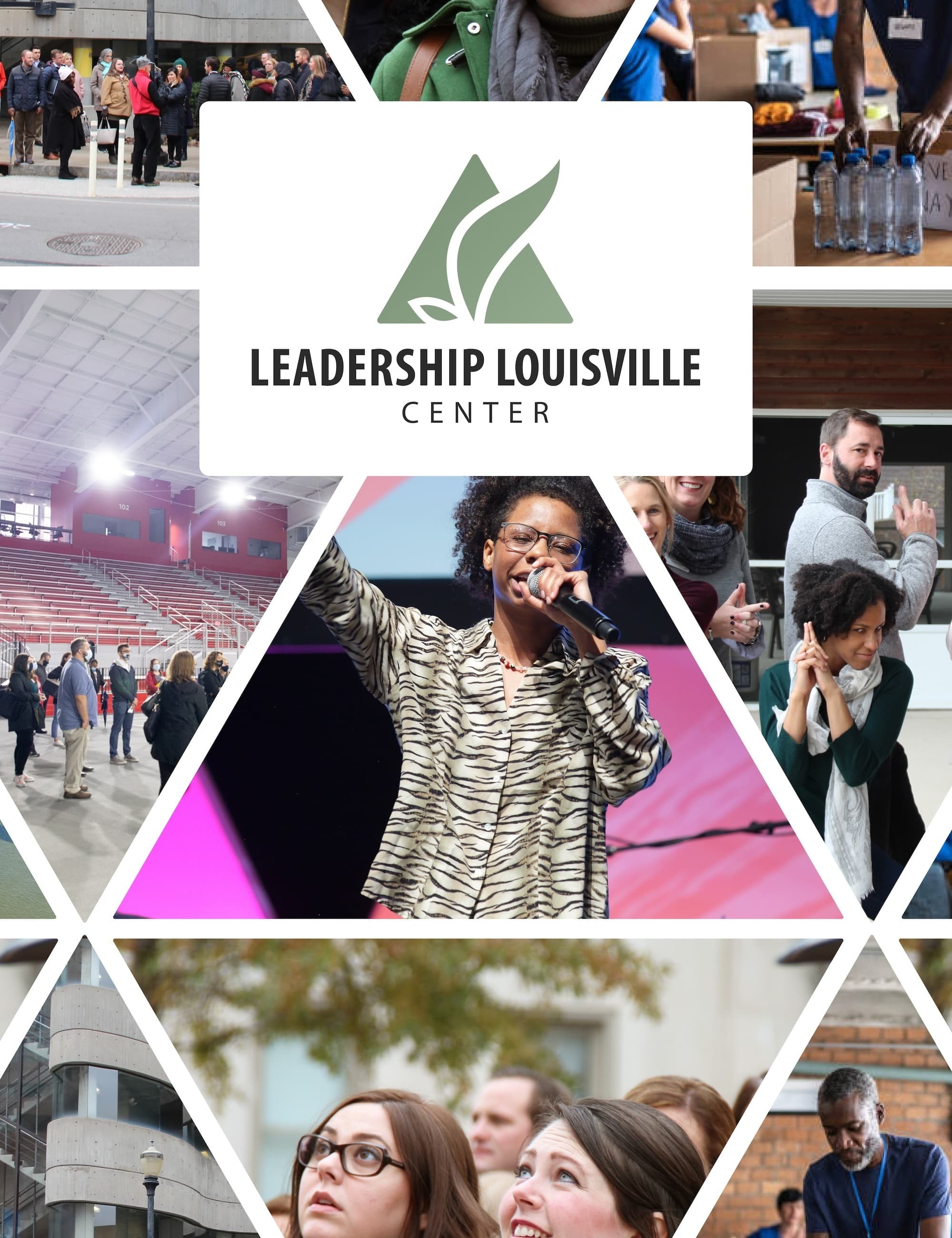 Cover image for the Leadership Louisville website redesign project portfolio