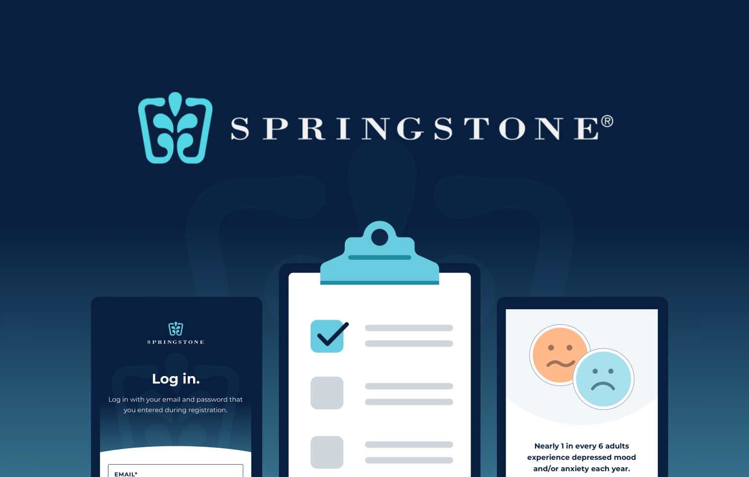 Springstone login screen