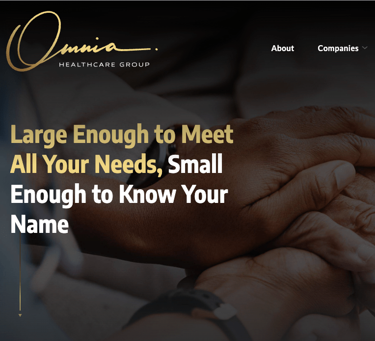 Screen grab of home page hero of omnia group corporate website